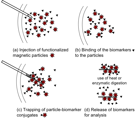 Conceptual schematic of magnetic harvesting