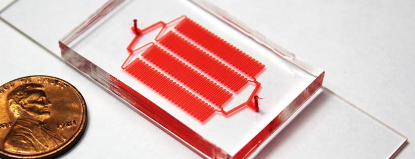 Microfluidic Chip for Rare Cell Isolation