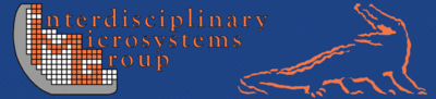 Interdisciplinary Microsystems Group